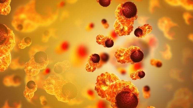 biopsi masive