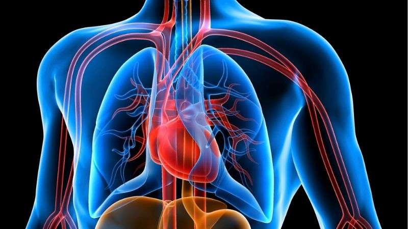 Mbyllja e arteries brachiale