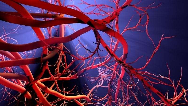 Hemangioma dhe trajtimi i keqformimeve vaskulare